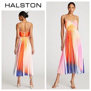 HALSTON Mollie Dress In Pleated Print